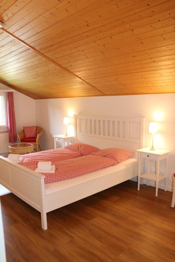 Appartement Julia Grindelwald Esterno foto